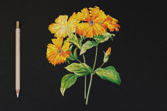 Elegant Flowers: A Review for Personalized Gifts